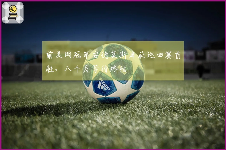 前美网冠军安德莱斯库获巡回赛首胜，八个月等待终结