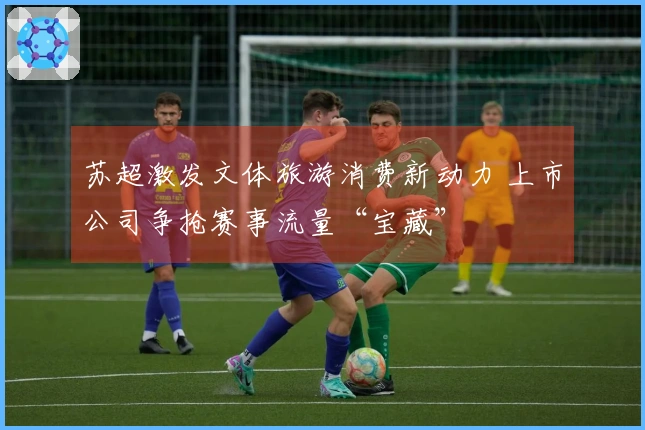 苏超激发文体旅游消费新动力 上市公司争抢赛事流量“宝藏”